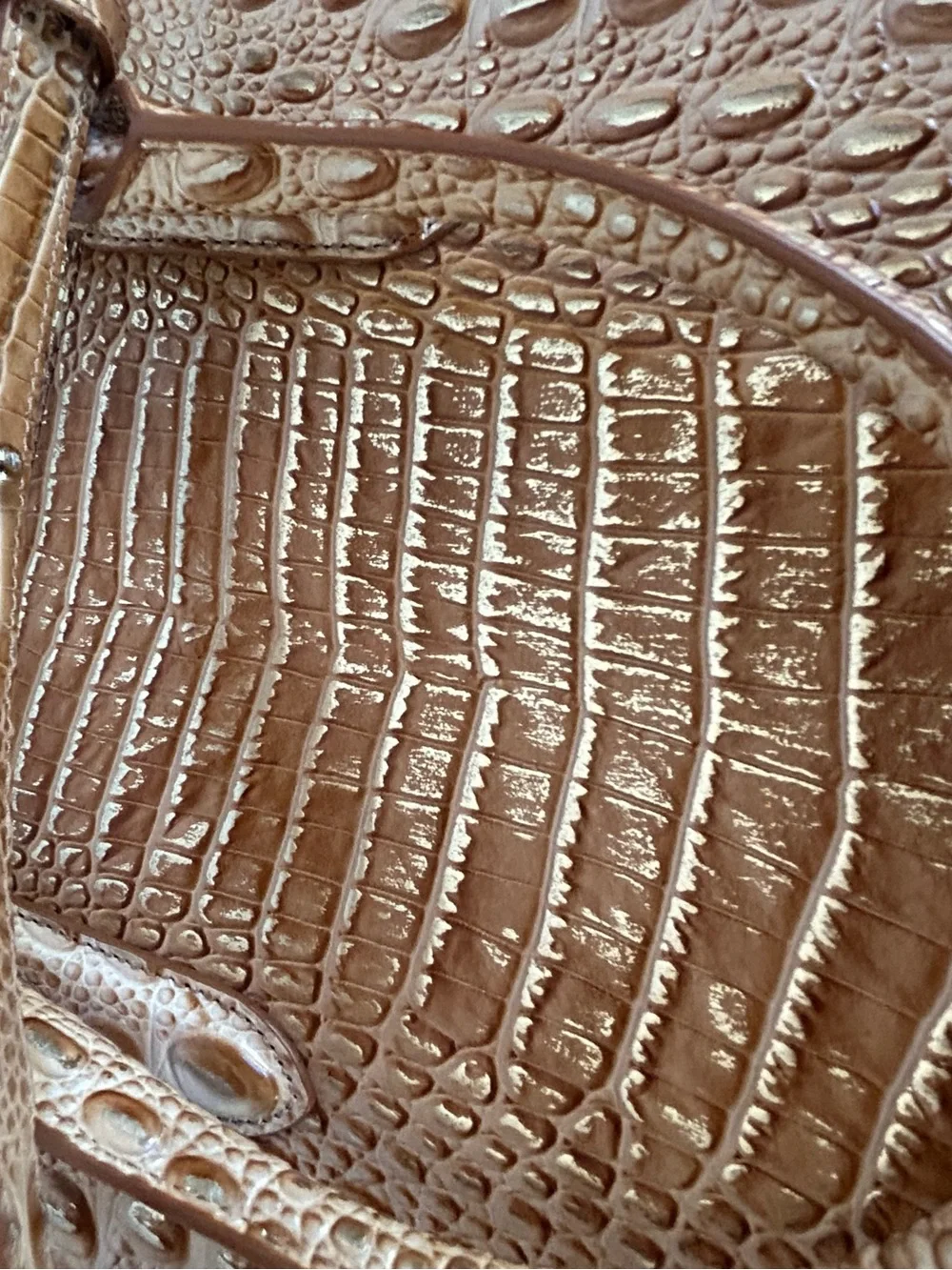 BRAHMIN FINLEY Driftwood Tan Metallic Croc-Embossed Satchel Tote Bag Office